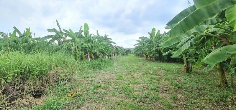ที่ดินเปล่า, Nonthaburi, Bang Rak Pattana, Bang Bua Thong, Nonthaburi, , 576 sqm, Land For Sale, by พิมพ์พิชชา สายชลประสิทธิ์, 500630595 - DDproperty.com