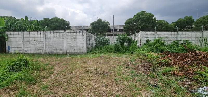 ที่ดินเปล่า, Nonthaburi, Bang Rak Pattana, Bang Bua Thong, Nonthaburi, , 576 sqm, Land For Sale, by พิมพ์พิชชา สายชลประสิทธิ์, 500630595 - DDproperty.com