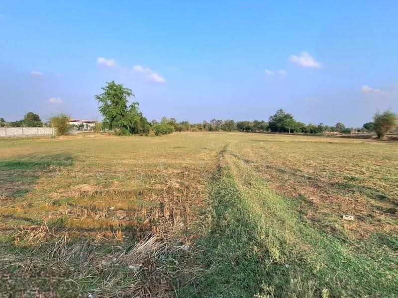 ที่ดินโนนรัง ร้อยเอ็ด, Roi Et, Non Rang, Muang Roi Et, Roi Et, , 17,108 sqm, Land For Sale, by The Best Property ทองใบ, 500630599 - DDproperty.com