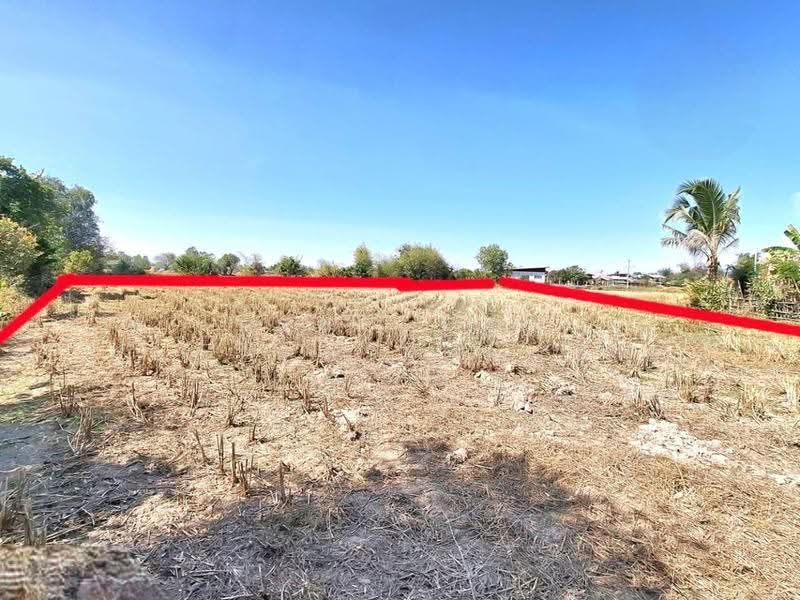 ที่ดินโนนรัง ร้อยเอ็ด, Roi Et, Non Rang, Muang Roi Et, Roi Et, , 17,108 sqm, Land For Sale, by The Best Property ทองใบ, 500630599 - DDproperty.com