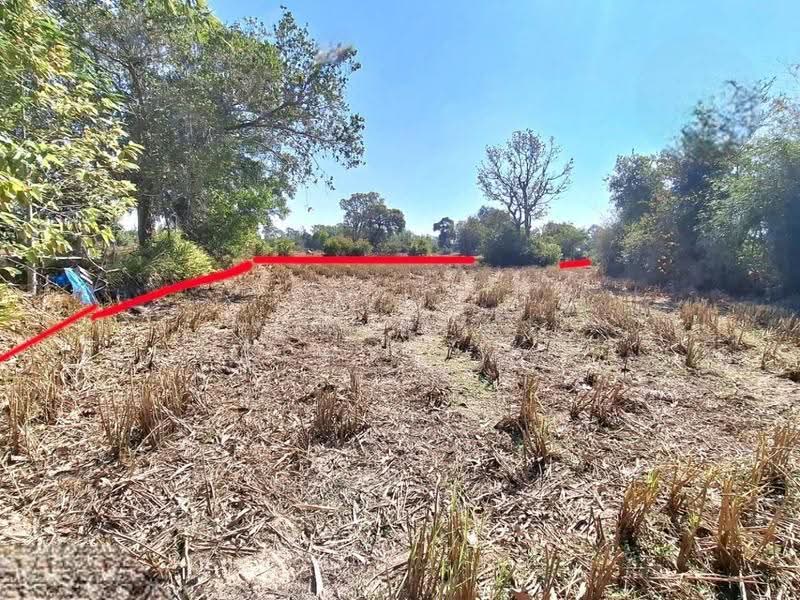 ที่ดินโนนรัง ร้อยเอ็ด, Roi Et, Non Rang, Muang Roi Et, Roi Et, , 17,108 sqm, Land For Sale, by The Best Property ทองใบ, 500630599 - DDproperty.com