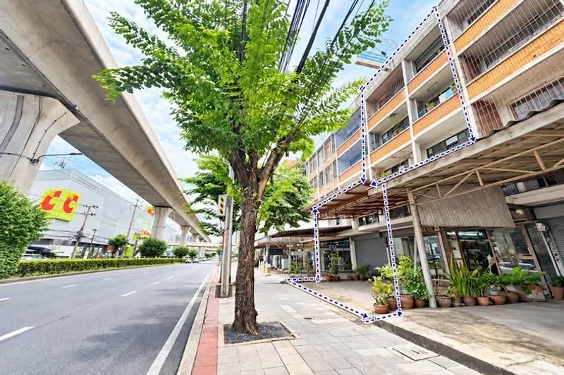 ขายอาคารพาณิชย์ 4 ชั้น ติดถนนถนนพหลโยธิน 800 ตารางเมตร ใกล้ BTS สะพานใหม่, Bangkok, พหลโยธิน, Anusaowari, Bang Khen, Bangkok, , 800 sqm, Shophouse For Sale, by สง่าชัย ไทรทองคำ, 500630603 - DDproperty.com