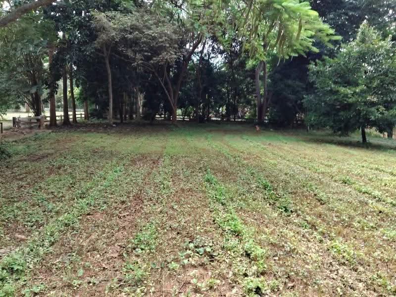 ที่ดินริมน้ำเขาใหญ่, Nakhon Ratchasima, Nong Nam Sang, Pak Chong, Nakhon Ratchasima, , 1,600 sqm, Land For Sale, by พลิศภัสร์ โชคธนวีระกานต์, 500630677 - DDproperty.com