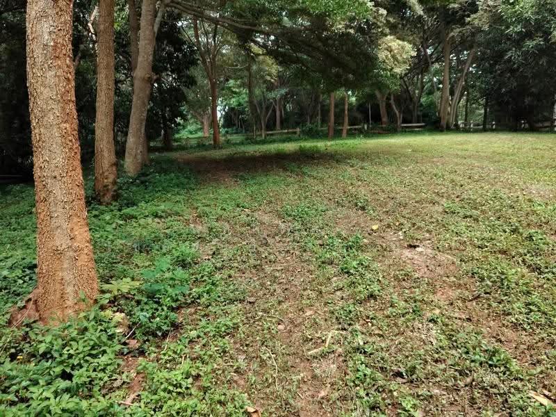 ที่ดินริมน้ำเขาใหญ่, Nakhon Ratchasima, Nong Nam Sang, Pak Chong, Nakhon Ratchasima, , 1,600 sqm, Land For Sale, by พลิศภัสร์ โชคธนวีระกานต์, 500630677 - DDproperty.com
