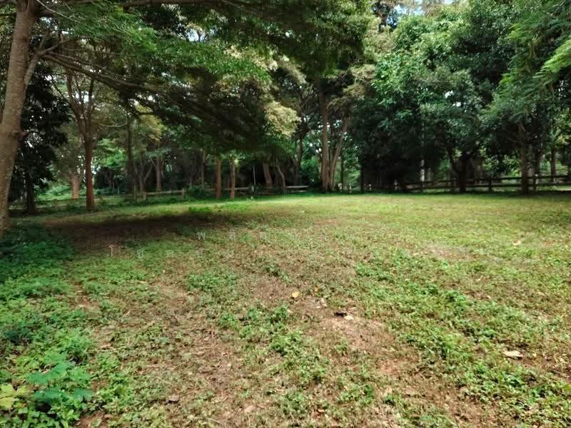 ที่ดินริมน้ำเขาใหญ่, Nakhon Ratchasima, Nong Nam Sang, Pak Chong, Nakhon Ratchasima, , 1,600 sqm, Land For Sale, by พลิศภัสร์ โชคธนวีระกานต์, 500630677 - DDproperty.com