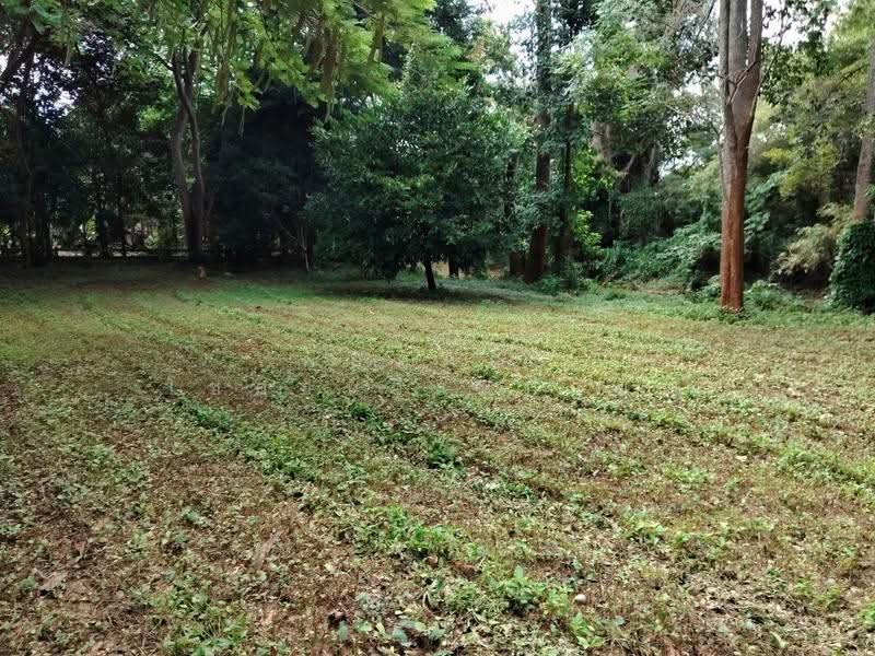 ที่ดินริมน้ำเขาใหญ่, Nakhon Ratchasima, Nong Nam Sang, Pak Chong, Nakhon Ratchasima, , 1,600 sqm, Land For Sale, by พลิศภัสร์ โชคธนวีระกานต์, 500630677 - DDproperty.com