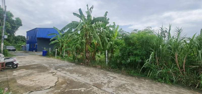 ที่ดินเปล่าถมแล้ว, นนทบุรี, กาญจนาภิเษก, บ้านใหม่, บางใหญ่, นนทบุรี, 468 ตร.ม., ที่ดิน ขาย, โดย พิมพ์พิชชา สายชลประสิทธิ์, 500630700 - DDproperty.com