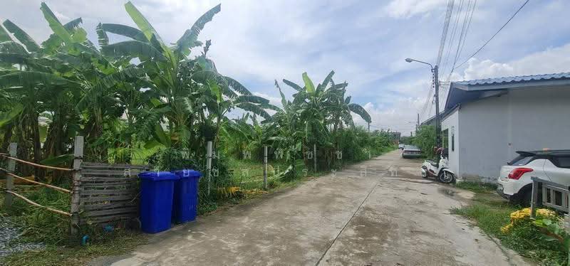 ที่ดินเปล่าถมแล้ว, นนทบุรี, กาญจนาภิเษก, บ้านใหม่, บางใหญ่, นนทบุรี, 468 ตร.ม., ที่ดิน ขาย, โดย พิมพ์พิชชา สายชลประสิทธิ์, 500630700 - DDproperty.com