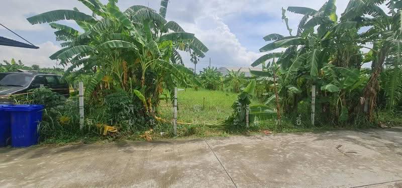 ที่ดินเปล่าถมแล้ว, นนทบุรี, กาญจนาภิเษก, บ้านใหม่, บางใหญ่, นนทบุรี, 468 ตร.ม., ที่ดิน ขาย, โดย พิมพ์พิชชา สายชลประสิทธิ์, 500630700 - DDproperty.com