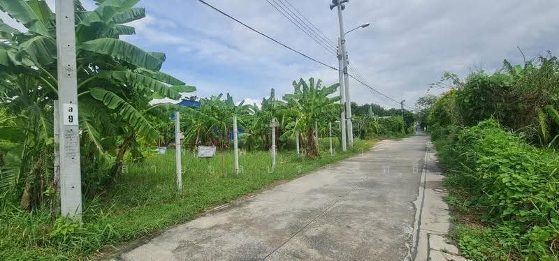 ที่ดินเปล่าถมแล้ว, Nonthaburi, กาญจนาภิเษก, Ban Mai, Bang Yai, Nonthaburi, , 468 sqm, Land For Sale, by พิมพ์พิชชา สายชลประสิทธิ์, 500630700 - DDproperty.com