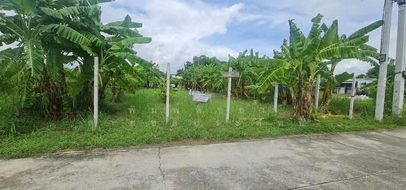 ที่ดินเปล่าถมแล้ว, Nonthaburi, กาญจนาภิเษก, Ban Mai, Bang Yai, Nonthaburi, , 468 sqm, Land For Sale, by พิมพ์พิชชา สายชลประสิทธิ์, 500630700 - DDproperty.com