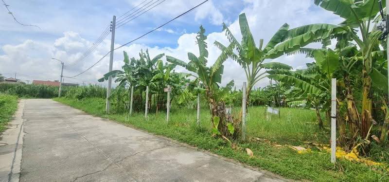 ที่ดินเปล่าถมแล้ว, นนทบุรี, กาญจนาภิเษก, บ้านใหม่, บางใหญ่, นนทบุรี, 468 ตร.ม., ที่ดิน ขาย, โดย พิมพ์พิชชา สายชลประสิทธิ์, 500630700 - DDproperty.com