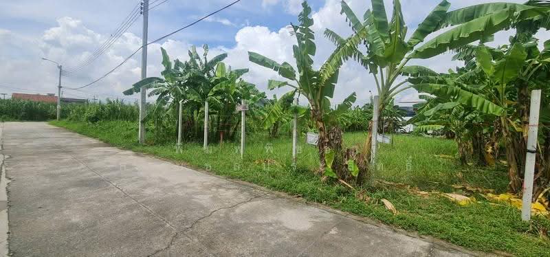 ที่ดินเปล่าถมแล้ว, Nonthaburi, กาญจนาภิเษก, Ban Mai, Bang Yai, Nonthaburi, , 468 sqm, Land For Sale, by พิมพ์พิชชา สายชลประสิทธิ์, 500630700 - DDproperty.com