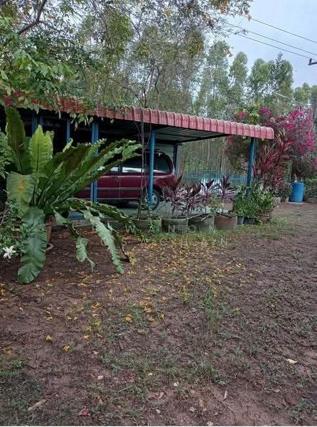 บ้าน 2-ห้องนอน, ชลบุรี, ห้วยใหญ่, บางละมุง, ชลบุรี, 93 ตร.ม., บ้านเดี่ยว ขาย, โดย Siwanon Gosachan, 500630713 - DDproperty.com