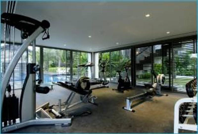 Casuarina Shores : คาซัวรีนา ชอร์, ภูเก็ต, Soi Cherngtalay 14, เชิงทะเล, ถลาง, ภูเก็ต, 270 ตร.ม., คอนโด ให้เช่า, โดย Puttirat Kleebyam, 500630714 - DDproperty.com