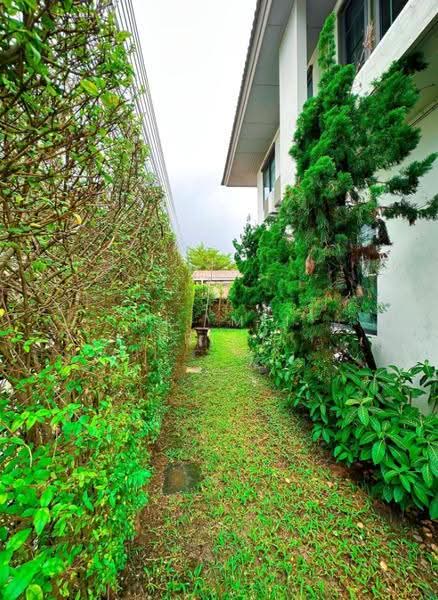 Burasiri Koh Kaew, Phuket, Thep King Kaew Kaew, Thep Krasattri, Muang Phuket, Phuket, 3 Bedrooms, 120 sqm, Single Detached House For Rent, by Mei Mei Prime, 500630783 - DDproperty.com