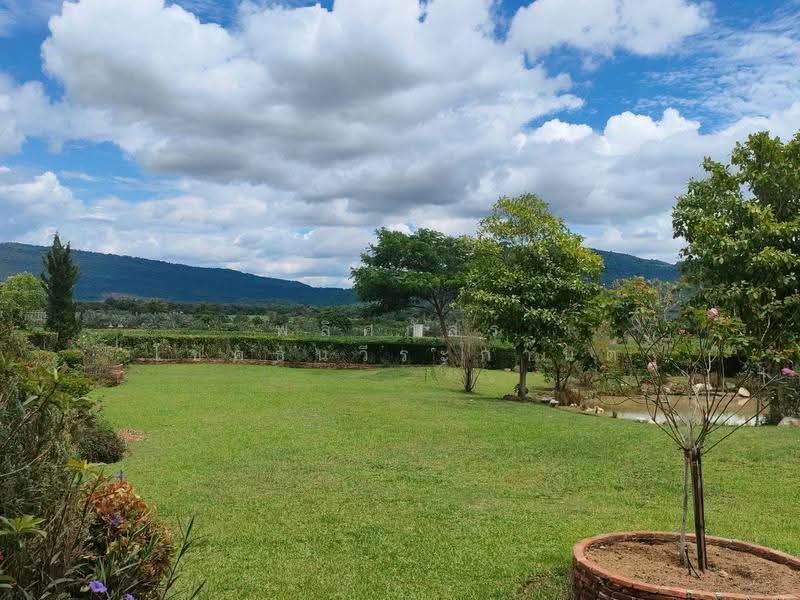 อาณาจักรส่วนตัวสไตล์ French House กลางธรรมชาติ | วิวหลักล้าน, Nakhon Ratchasima, Wang Zai, Pak Chong, Nakhon Ratchasima, 5 Bedrooms, 400 sqm, Single Detached House For Sale, by พลิศภัสร์ โชคธนวีระกานต์, 500630816 - DDproperty.com