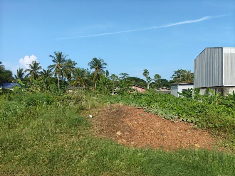 ที่ดินท่าซัก นครศรีธรรมราช, Nakhon Si Thammarat, Tha Sak, Muang Nakhon Sri Thammarat, Nakhon Si Thammarat, , 185 sqm, Land For Sale, by The Best Property พริก, 500630856 - DDproperty.com