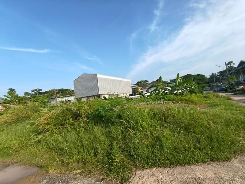ที่ดินท่าซัก นครศรีธรรมราช, Nakhon Si Thammarat, Tha Sak, Muang Nakhon Sri Thammarat, Nakhon Si Thammarat, , 185 sqm, Land For Sale, by The Best Property พริก, 500630856 - DDproperty.com
