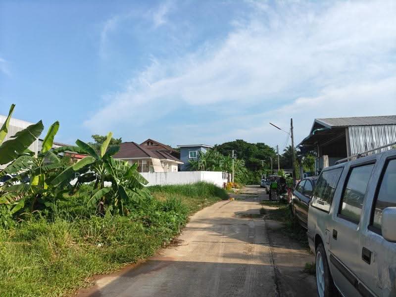 ที่ดินท่าซัก นครศรีธรรมราช, Nakhon Si Thammarat, Tha Sak, Muang Nakhon Sri Thammarat, Nakhon Si Thammarat, , 185 sqm, Land For Sale, by The Best Property พริก, 500630856 - DDproperty.com