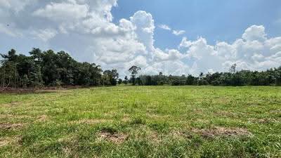 ขาย - ที่ดินบ้านค่าย ระยอง, ระยอง