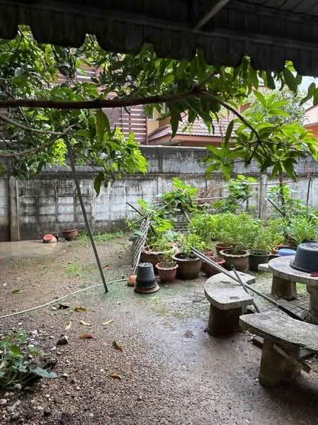 ขายที่ดิน 132 ตรว ติดรถไฟฟ้าลาดปลาเค้า 200 ม ทำเลทอง!, กรุงเทพ, อนุสาวรีย์, บางเขน, กรุงเทพ, 528 ตร.ม., ที่ดิน ขาย, โดย เจสสิก้า, 500630940 - DDproperty.com