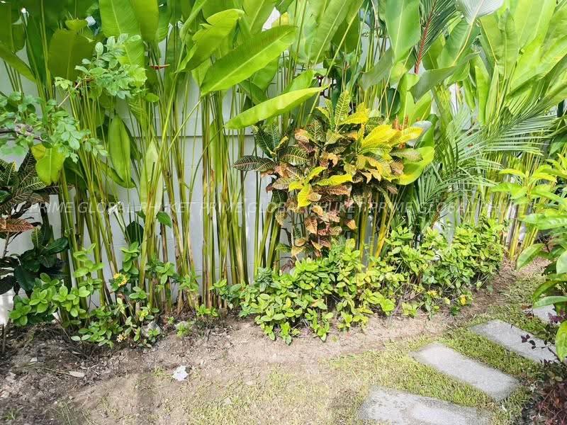 สุริยาพร เพลส ฉลอง, ภูเก็ต, ฉลอง, เมืองภูเก็ต, ภูเก็ต, 156 ตร.ม., บ้านเดี่ยว ให้เช่า, โดย fai prime, 500631061 - DDproperty.com