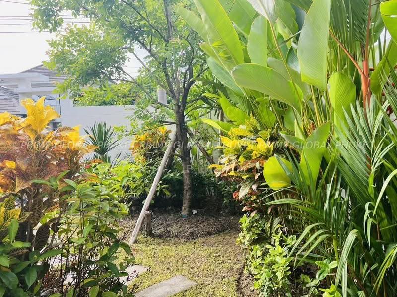 สุริยาพร เพลส ฉลอง, ภูเก็ต, ฉลอง, เมืองภูเก็ต, ภูเก็ต, 156 ตร.ม., บ้านเดี่ยว ให้เช่า, โดย fai prime, 500631061 - DDproperty.com