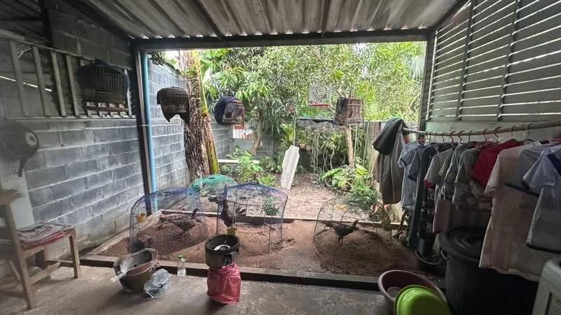 ทาวน์เฮ้าส์พนัสนิคม ชลบุรี, Chon Buri (Pattaya), Ban Chang, Phanat Nikhom, Chon Buri (Pattaya), 2 Bedrooms, 150 sqm, Townhouse For Sale, by The Best Property   เก๋, 500631144 - DDproperty.com