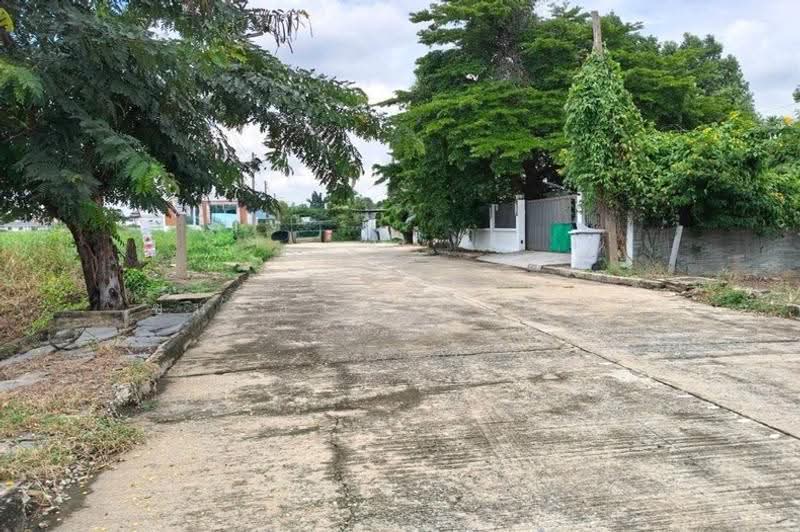 ที่ดินเปล่า เนื้อที่ 182 ตร.ว หมู่บ้านกฤษดานคร 19 ซอยคลองหลวง24 (ทิชาชล 4/6), Pathum Thani, Khlong Nung, Khlong Luang, Pathum Thani, , 728 sqm, Land For Sale, by ชนะชาติ นนท์ตา, 500631157 - DDproperty.com
