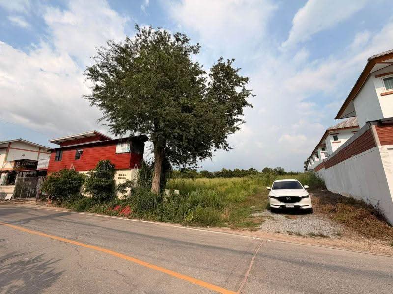 ที่ดินเปล่า เครือสหพัฒน์ ศรีราชา, Chon Buri (Pattaya), หนองค้าใหม่, Bueng, Si Racha, Chon Buri (Pattaya), , 3,775 sqm, Land For Sale, by A.T.A. Property, 500631161 - DDproperty.com