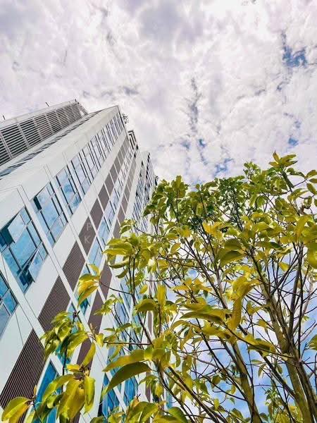 Beverly Mountain Bay Pattaya, Chon Buri (Pattaya), Soi 5, Pratumnak Road, Nong Pru, Bang Lamung (Pattaya), Chon Buri (Pattaya), 2 Bedrooms, 67 sqm, Condo For Sale, by Puttirat Kleebyam, 500631193 - DDproperty.com