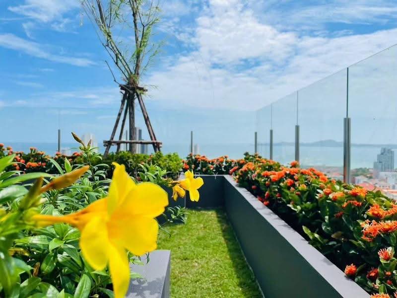 Beverly Mountain Bay Pattaya : เบเวอร์ลี่ เมาน์เท่น เบย์ พัทยา, ชลบุรี, ซอยพระตำหนัก 5, หนองปรือ, บางละมุง, ชลบุรี, 67 ตร.ม., คอนโด ขาย, โดย Puttirat Kleebyam, 500631193 - DDproperty.com