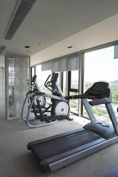 The Base Height Phuket, Phuket, 359 Soi Hongyok Utis Yaowarat Road, Talat Yai, Muang Phuket, Phuket, 1 Bedroom, 36 sqm, Condo For Rent, by Mei Mei Prime, 500631205 - DDproperty.com