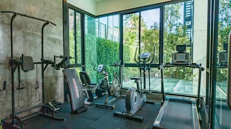 Viva Patong, Phuket, 51 Phrabarami Road, Patong, Kathu, Phuket, 1 Bedroom, 38 sqm, Condo For Rent, by บริษัท ไพร์ม โกลบอล แอสเสท จำกัด, 500631350 - DDproperty.com
