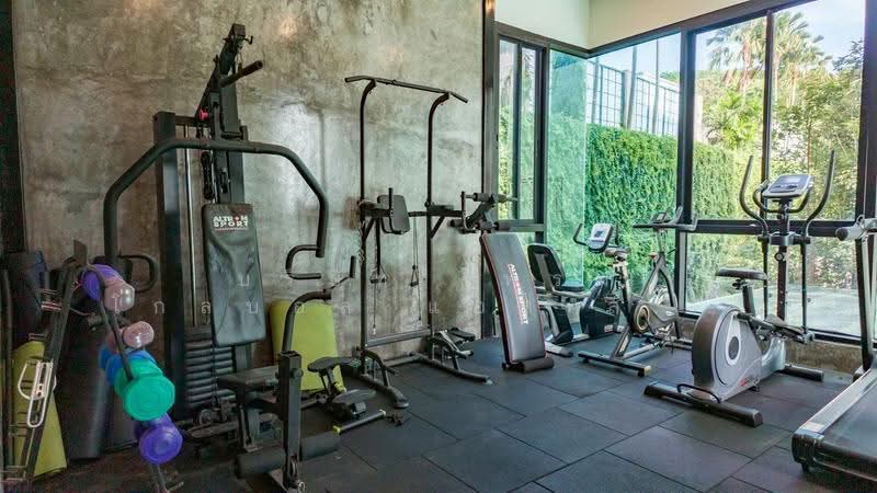 Viva Patong, Phuket, 51 Phrabarami Road, Patong, Kathu, Phuket, 1 Bedroom, 38 sqm, Condo For Rent, by บริษัท ไพร์ม โกลบอล แอสเสท จำกัด, 500631350 - DDproperty.com