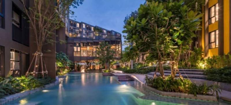 The Base Central, Phuket, Chao Fah Tawan Tok Rd, Wichit, Muang Phuket, Phuket, 1 Bedroom, 37 sqm, Condo For Rent, by MeiMei Prime, 500631579 - DDproperty.com