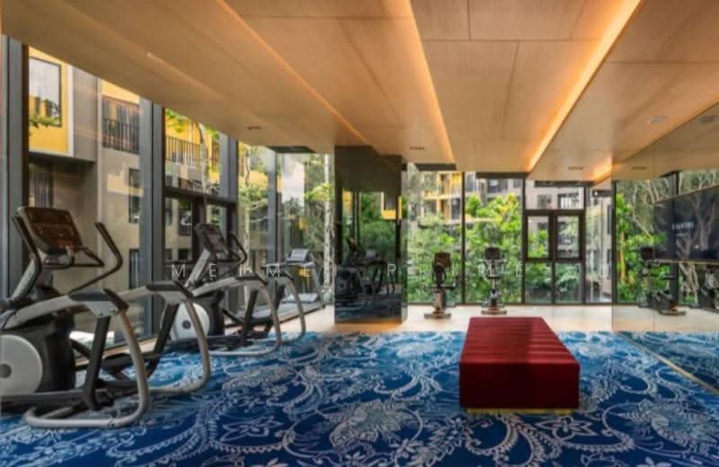 The Base Central, Phuket, Chao Fah Tawan Tok Rd, Wichit, Muang Phuket, Phuket, 1 Bedroom, 37 sqm, Condo For Rent, by MeiMei Prime, 500631579 - DDproperty.com