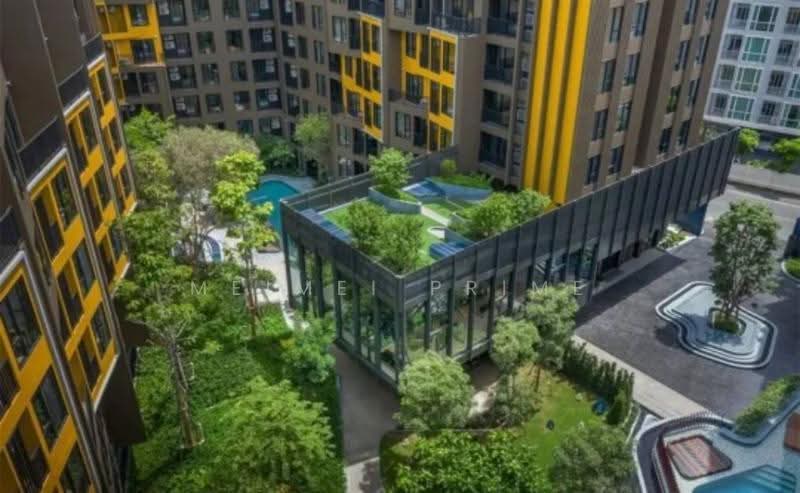 The Base Central, Phuket, Chao Fah Tawan Tok Rd, Wichit, Muang Phuket, Phuket, 1 Bedroom, 37 sqm, Condo For Rent, by MeiMei Prime, 500631579 - DDproperty.com