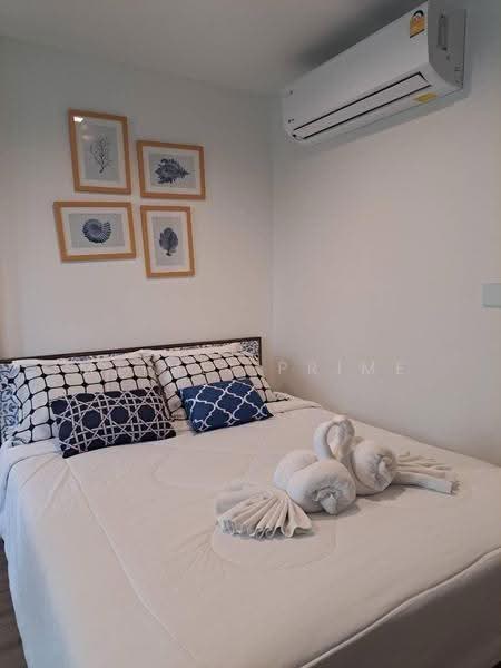 The Base Central, Phuket, Chao Fah Tawan Tok Rd, Wichit, Muang Phuket, Phuket, 1 Bedroom, 29 sqm, Condo For Rent, by MeiMei Prime, 500631599 - DDproperty.com