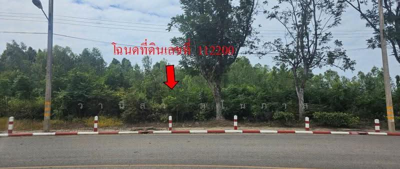 ยูนิแลนด์กอล์ฟ แอน คันทรีคลับ, นครปฐม, บางแขม, เมืองนครปฐม, นครปฐม, 1,170 ตร.ม., ที่ดิน ขาย, โดย วานิสา ตโนภาส, 500631702 - DDproperty.com