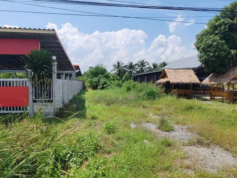 ขายที่ดินเปล่าติดถนนอู่ทองท่าน้ำอ้อย, สุพรรณบุรี, หนองโอ่ง, อู่ทอง, สุพรรณบุรี, 360 ตร.ม., ที่ดิน ขาย, โดย คุณธงชัย, 500631863 - DDproperty.com