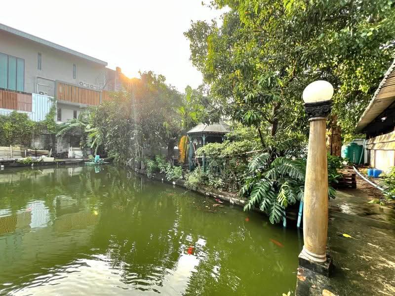 ที่ดินเปล่า, Bangkok, พระราม2, Samae Dam, Bang Khun Thian, Bangkok, , 828 sqm, Land For Sale, by พิมพ์พิชชา สายชลประสิทธิ์, 500631938 - DDproperty.com