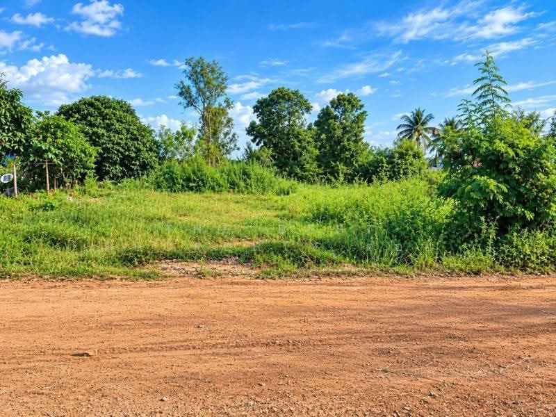 ที่ดินกุฉินารายณ์ กาฬสินธุ์, Kalasin, Bua Khao, Kuchinarai, Kalasin, , 4,200 sqm, Land For Sale, by The Best Property ต้อย, 500632077 - DDproperty.com