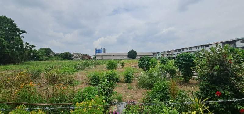 ที่ดิน, Bangkok, Bang Kae Nua, Bang Khae, Bangkok, , 6,148 sqm, Land For Sale, by พิมพ์พิชชา สายชลประสิทธิ์, 500632209 - DDproperty.com
