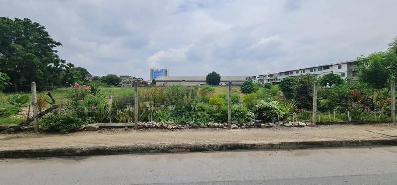ที่ดิน, Bangkok, Bang Kae Nua, Bang Khae, Bangkok, , 6,148 sqm, Land For Sale, by พิมพ์พิชชา สายชลประสิทธิ์, 500632209 - DDproperty.com
