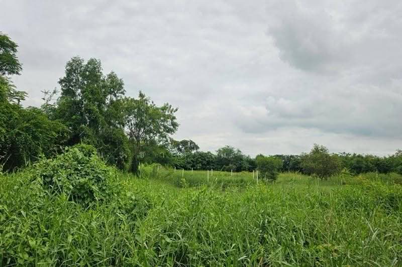 โครงการ รุ่งเรือง ธัญบุรีคลอง9, Pathum Thani, Bung Ba, Nong Sua, Pathum Thani, , 864 sqm, Land For Sale, by ชนะชาติ นนท์ตา, 500632249 - DDproperty.com