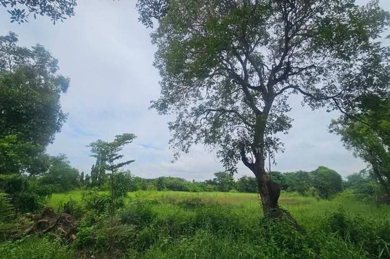 โครงการ รุ่งเรือง ธัญบุรีคลอง9, Pathum Thani, Bung Ba, Nong Sua, Pathum Thani, , 864 sqm, Land For Sale, by ชนะชาติ นนท์ตา, 500632249 - DDproperty.com