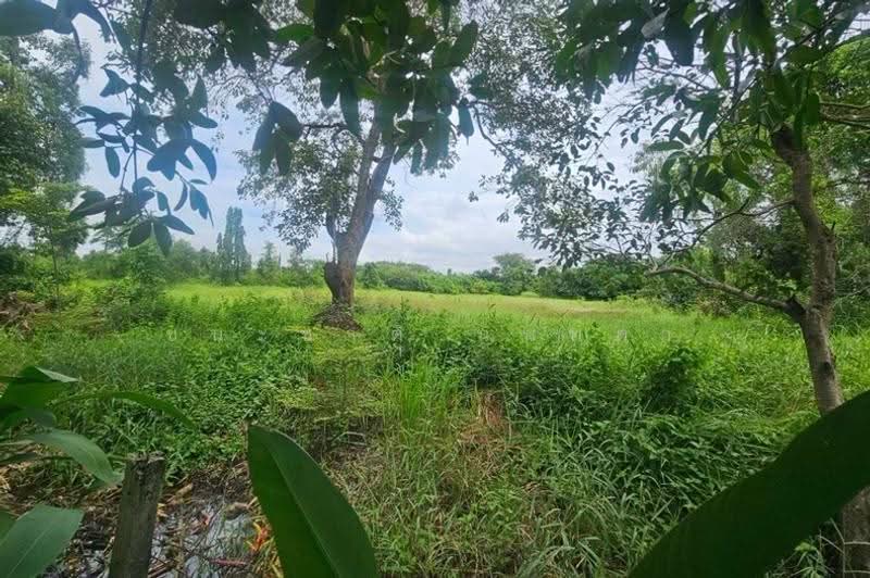 โครงการ รุ่งเรือง ธัญบุรีคลอง9, Pathum Thani, Bung Ba, Nong Sua, Pathum Thani, , 864 sqm, Land For Sale, by ชนะชาติ นนท์ตา, 500632249 - DDproperty.com