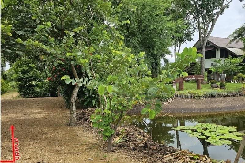 โครงการ รุ่งเรือง ธัญบุรีคลอง9, Pathum Thani, Bung Ba, Nong Sua, Pathum Thani, , 864 sqm, Land For Sale, by ชนะชาติ นนท์ตา, 500632249 - DDproperty.com